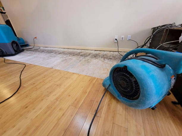 Professional Burst Pipe Water Damage technician working in Talmo, GA